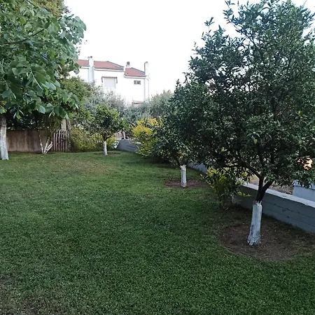 Oasis Apartments Agios Andreas  Exterior photo